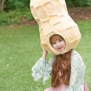 땅콩컴퍼니