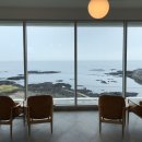 비에노즈 이미지