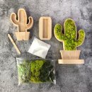 공기정화 스칸디아모스 만들기 이미지