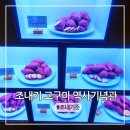 조엄농장 | 부산 영도 여행 아이랑 겨울에 실내 가볼만한곳 조내기 고구마 역사기념관 후기