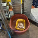 더원펜션 블루 | 동해 영덕 울진 가볼만한곳, 영덕 애견동반 여행