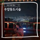 우암동 도시숲 | 부산 야경 명소 야경이 너무 예쁜 우암동도시숲