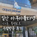 코끼리 | 일산 아쿠아리움 아쿠아플라넷, 가오리 투명보트 다흑 바다코끼리 후기