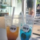 용산-현장-1360 | [노들섬↔️더리버마리나] 현대요트 - 두근두근 한강 요트투어!(가격,예약,운항시간,선착장)