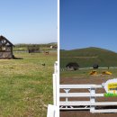 신도목장 이미지