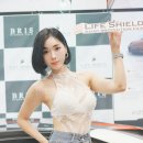 오토쉴드 이미지