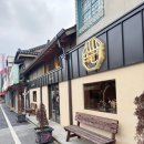 솜리커피 | 익산 핫플 카페 속리 반려동물 동반 구도심 감성카페 데이트