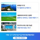 척하는 이코노미석? ‘프리미엄 이코노미’ 직접 타봤습니다 (인천~샌프란시스코 노선 탑승 후기)