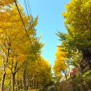 초록산산림욕장 이미지