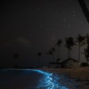 천금공인중개사사무소 이미지