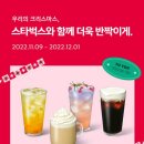 제주민트