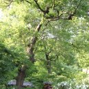 목천화원