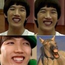 뽀루뚜나