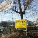 낭만짜장 이미지