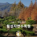 서경농장 Daum카페