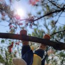 그로밋(gromit) 이미지