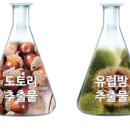 뷰티마미스킨 이미지