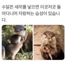 호린