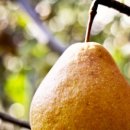 거창-고제-11 이미지