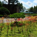 조성중학교 이미지