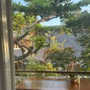 자매전통마사지 | 26발리)DAY7.우붓일정추천 (사포딜라,세탁소추천,티스카페, 예플루마사지,chontea&co카페)