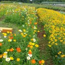 헤어카페 이미지