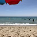 양고기연구소 이미지