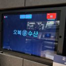 씨티프라자 | 신선함이 남다른 카이센동 찐맛집! '오복수산 씨티플라자 여의도점' 내돈내산 후기 (주차/예약/메뉴)