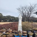 솔뫼성지 소나무 | 솔뫼성지 방문 후기 미사 시간 성물방 주차