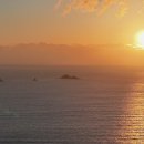 하나의선택 이미지