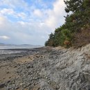 증도 관광안내소 이미지