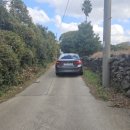 제주섬부동산공인중개사사무소 | 제주도공인중개사 제주시 도평동 토지매매