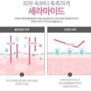 아카데미피부관리