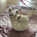 늘푸른소아과의원 이미지