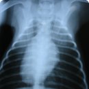 영동동물병원 이미지