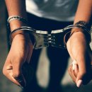 심부름행정사 이미지