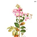 우심 - 고양시 일산서구 킨텍스로 255 | 우심