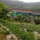 국제민박펜션 이미지