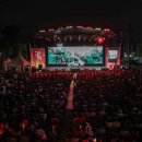 대구데이 페스티벌 이미지