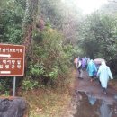 선흘1리보건진료소 이미지