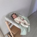 UR(파주시)-[문발로]-하-2 | [육아용품] 아기 하이체어 스토케 트립트랩 내돈내산 구매, 핫딜보다 저렴히 산 후기