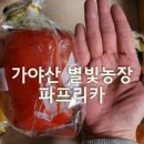 별빛농장 이미지