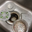 현대동물약품 | 인천 서구 청라 현대썬앤빌더테라스 입주청소후기