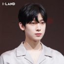 선우 네이버블로그