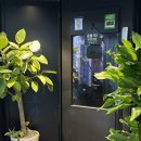 녹음당구장 이미지