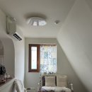 애틱(attic)