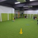 다솜유치원 | 솔뫼축구센터 강서염창점 후기 등촌동 7세 축구교실 찾는다면, 여기서 답 찾았어요