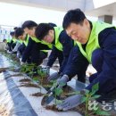 하늘농장8 이미지