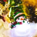 더워시박스 이미지