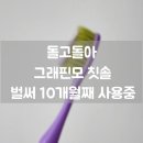 코코의 돌고돌아 그래핀모 칫솔 10개월째 사용중인 후기